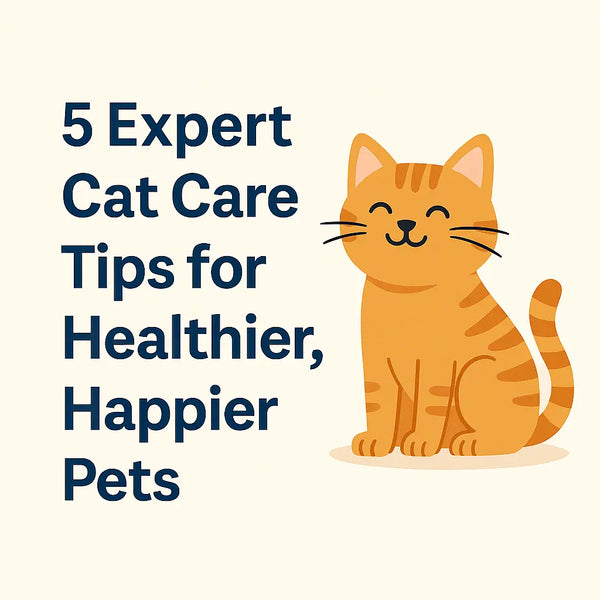Flat digital illustration of a happy cat with toys, food, and grooming tools, representing expert cat care tips for health and wellness.