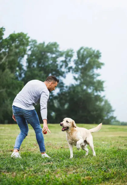 5-Simple-Wellness-Tips-to-Keep-Your-Dog-Happy-Healthy FurvanaWell
