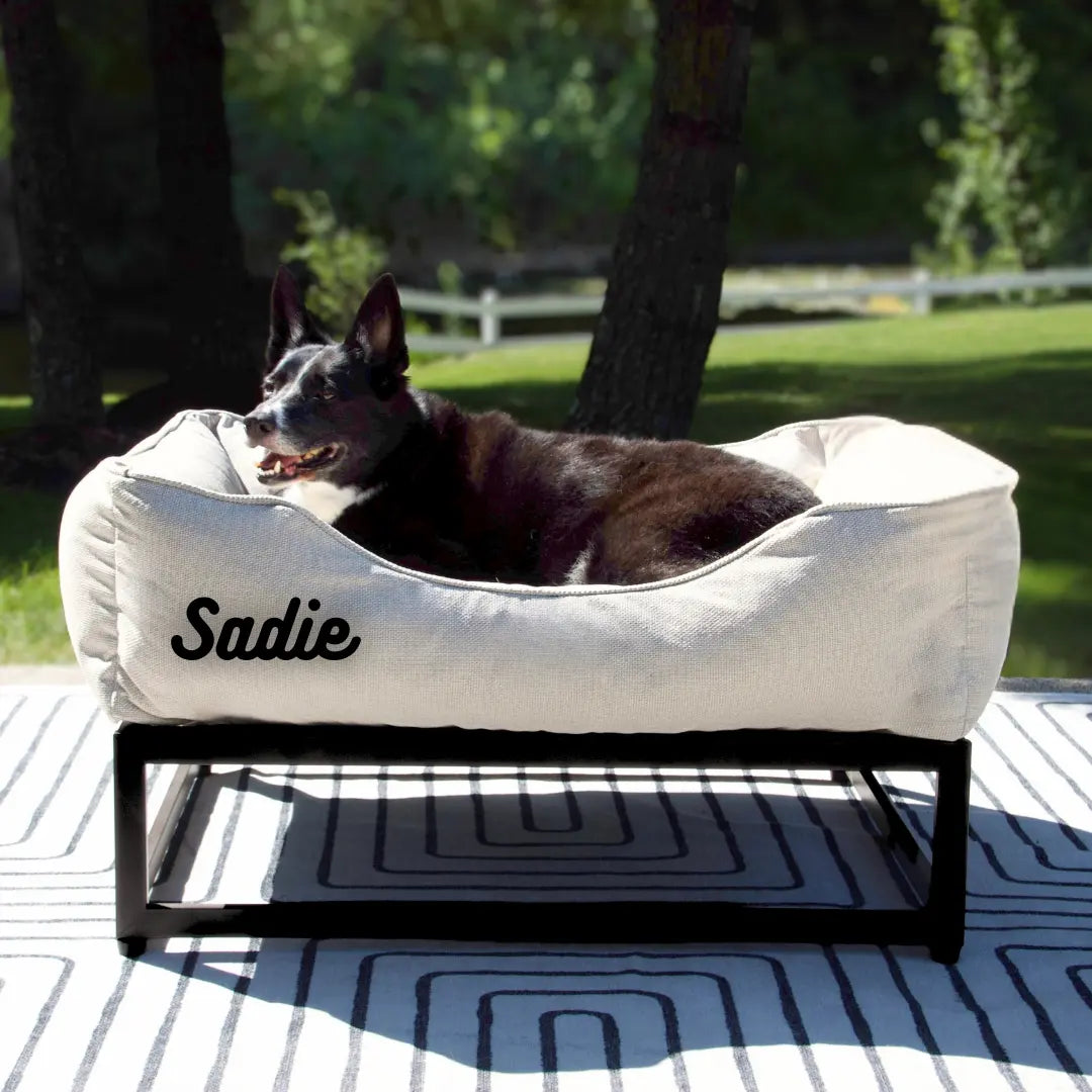 The FÜZI Dog Bed