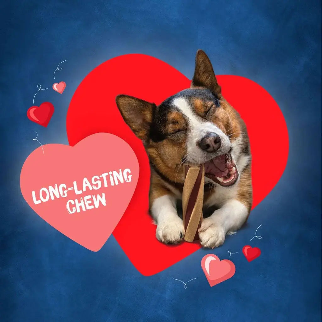 Busy Beggin' Twist'D! Long-Lasting Chew Small & Medium Dog Treat