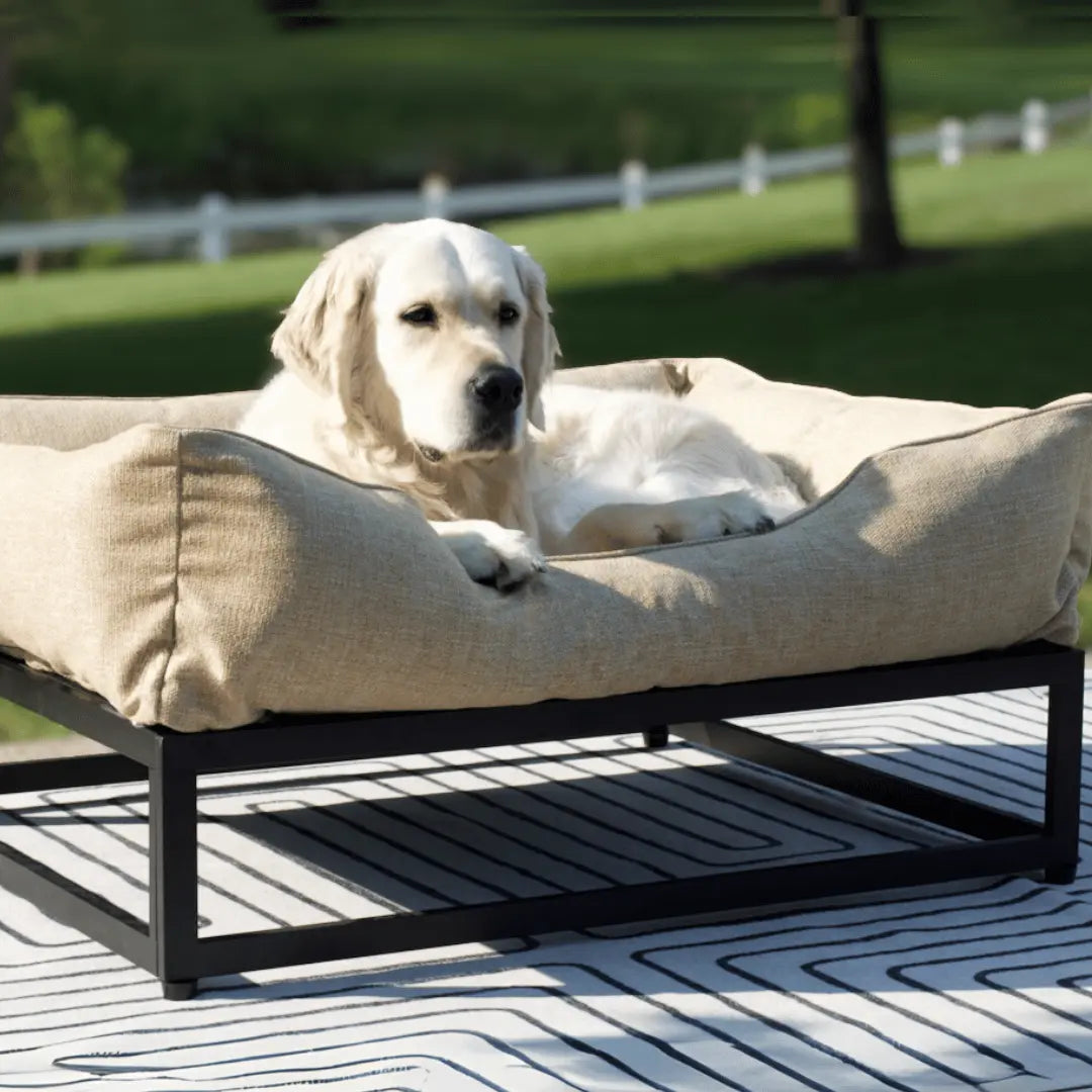The FÜZI Dog Bed