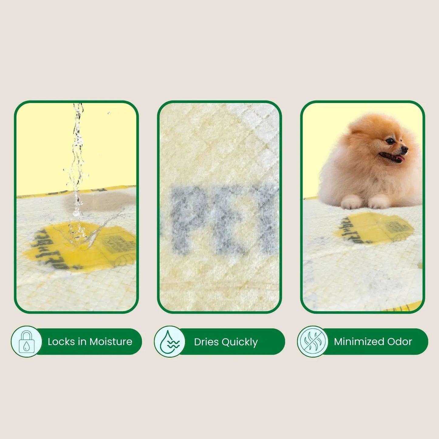 Dogs Pee Pads for Potty Training