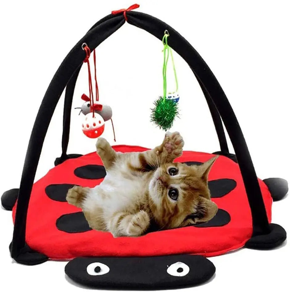 Black Ladybug Cat Play Mat