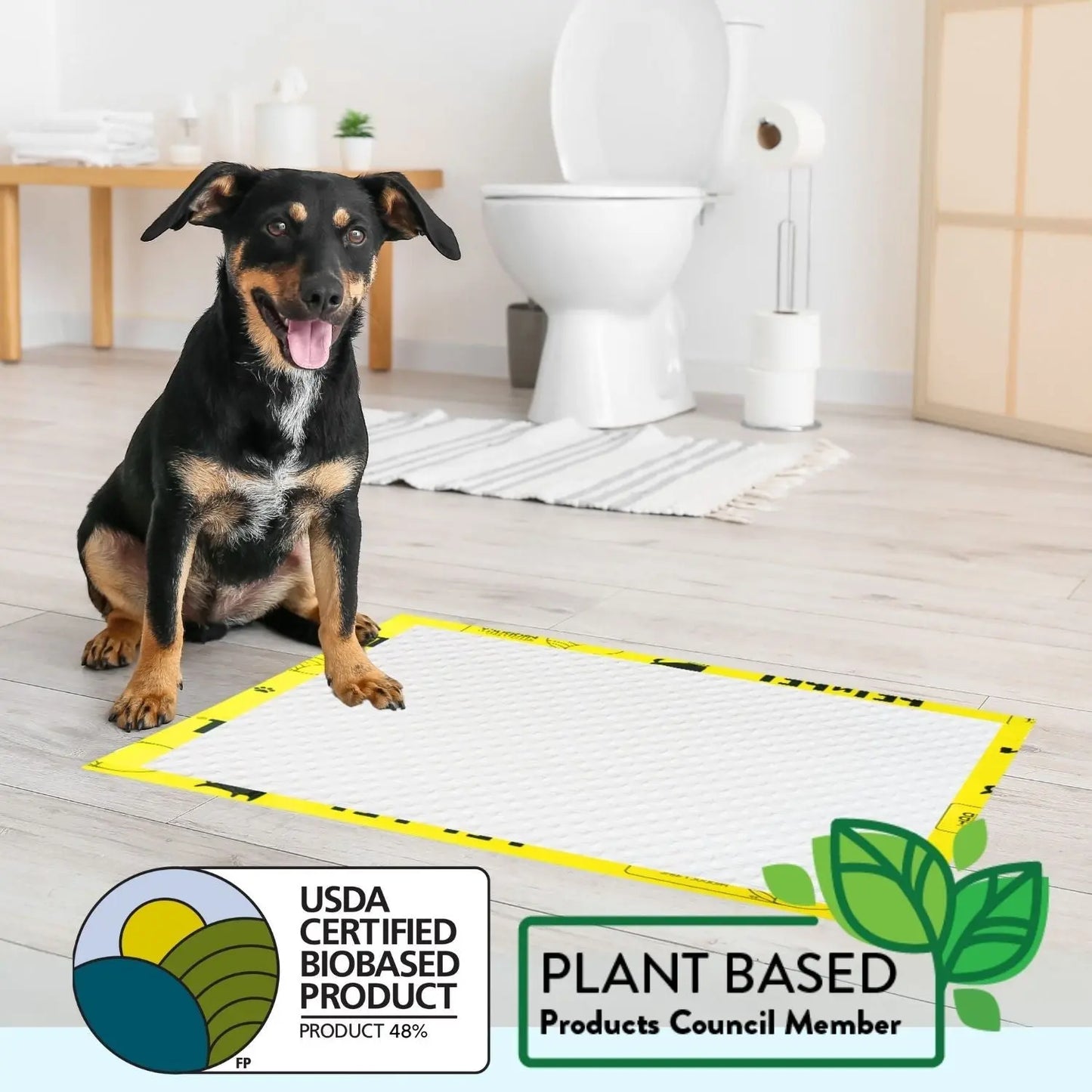 Dogs Pee Pads for Potty Training