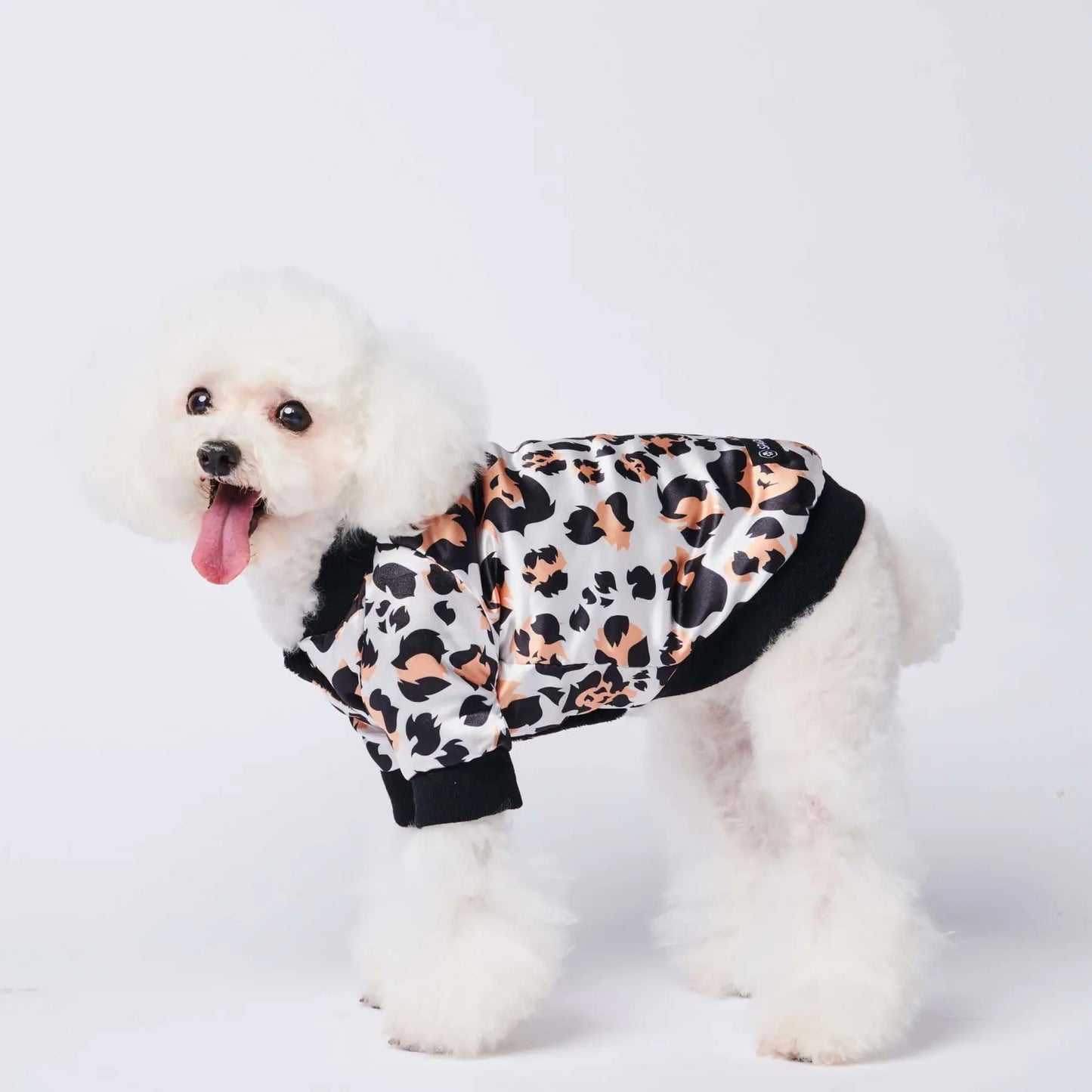 Luxury Bomber Jacket