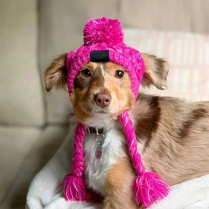 Autumn Winter Warm Knitted Pet Hats With Fluffy Ball