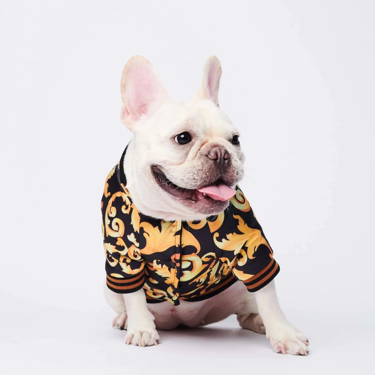 Luxury Bomber Jacket