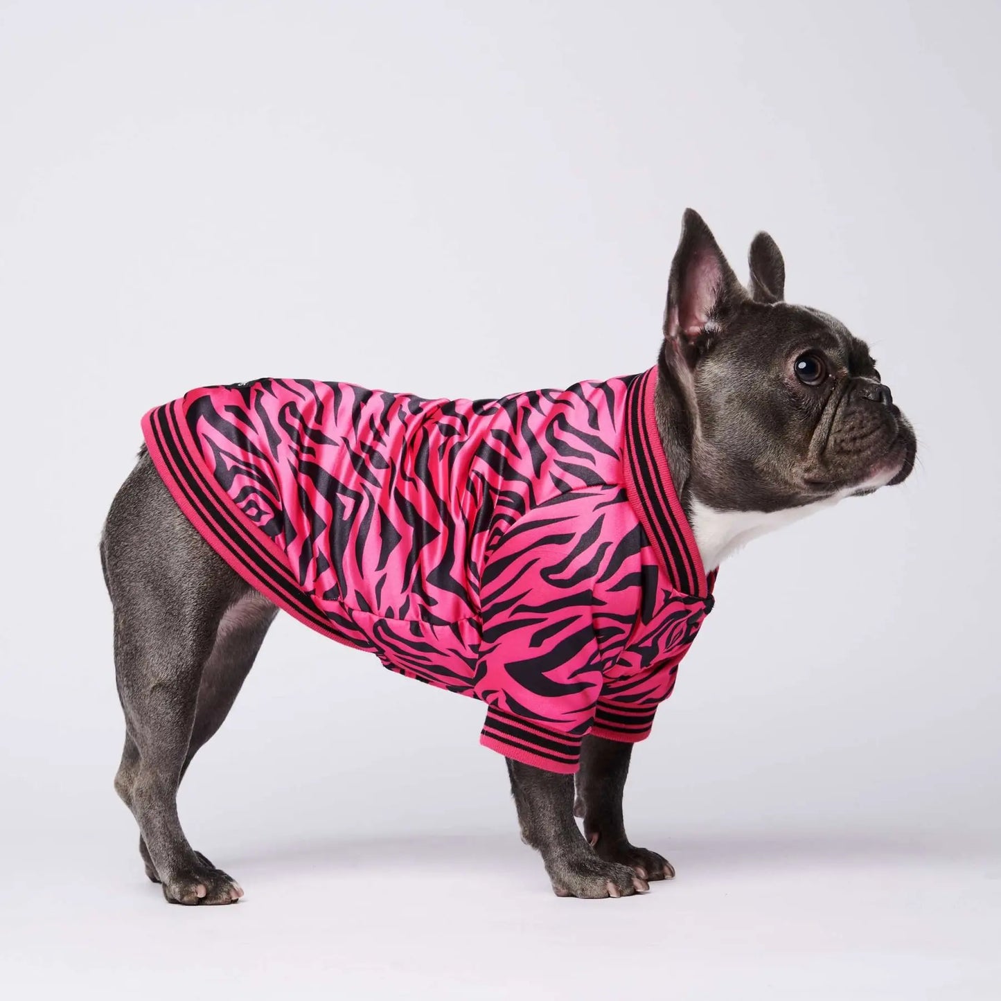 Luxury Bomber Jacket