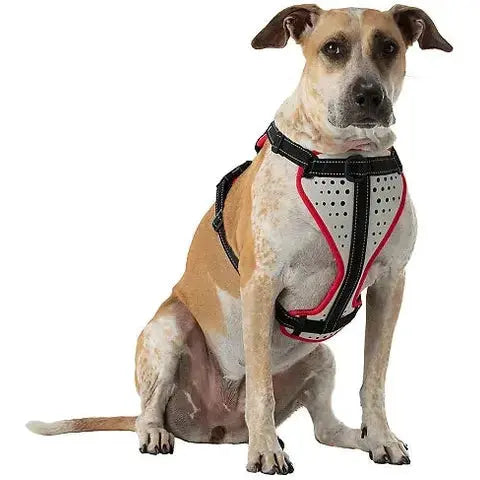 Nathan reflective dog harness - FurvanaWell