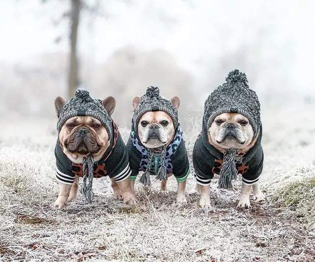 Autumn Winter Warm Knitted Pet Hats With Fluffy Ball