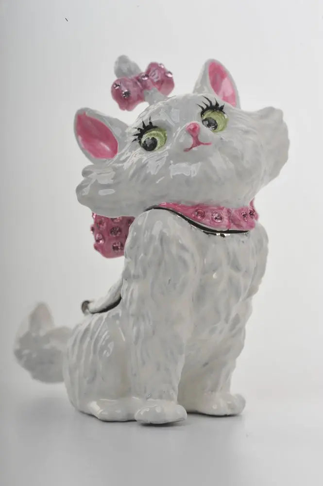White and Pink Cat