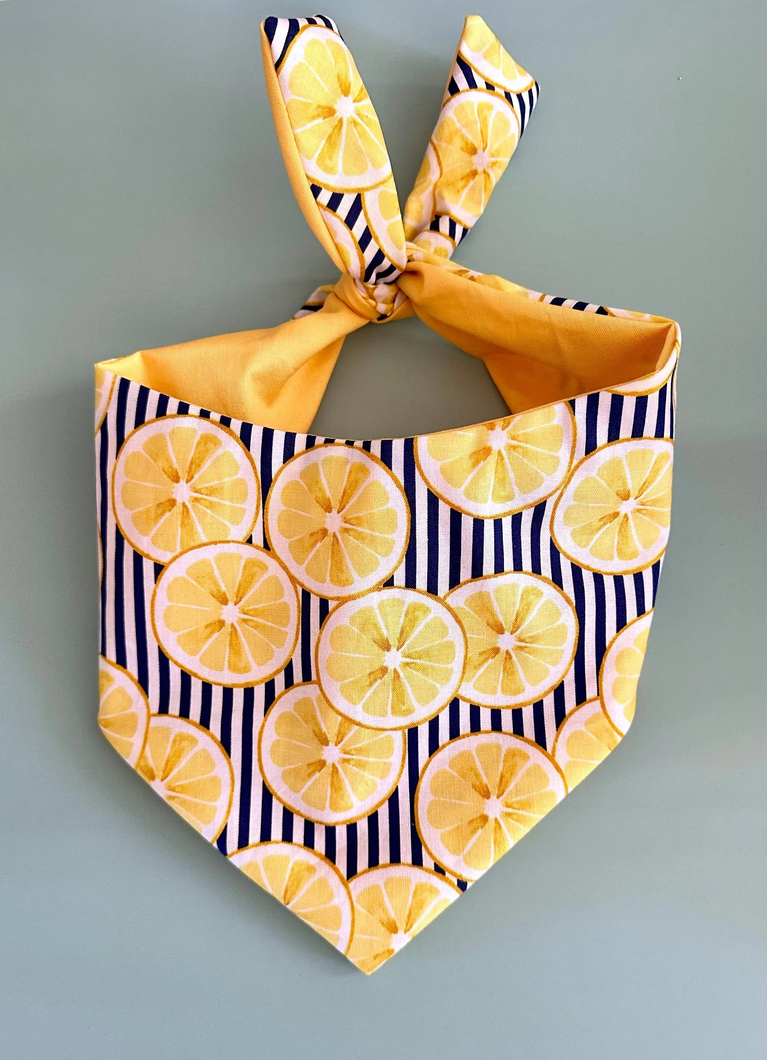 Lemon Dog Bandana - FurvanaWell