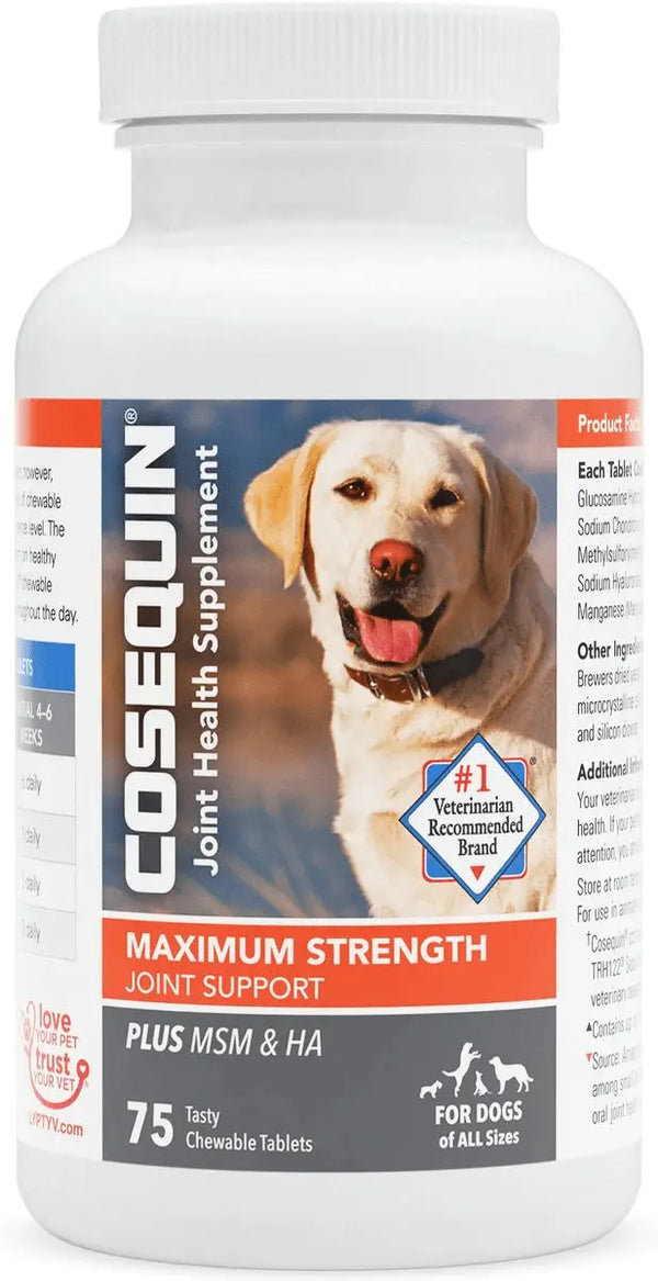 Nutramax Cosequin Maximum Strength Joint Health Supplement for Dogs - With Glucosamine, Chondroitin, MSM, and Hyaluronic Acid, 75 Chewable Tablets