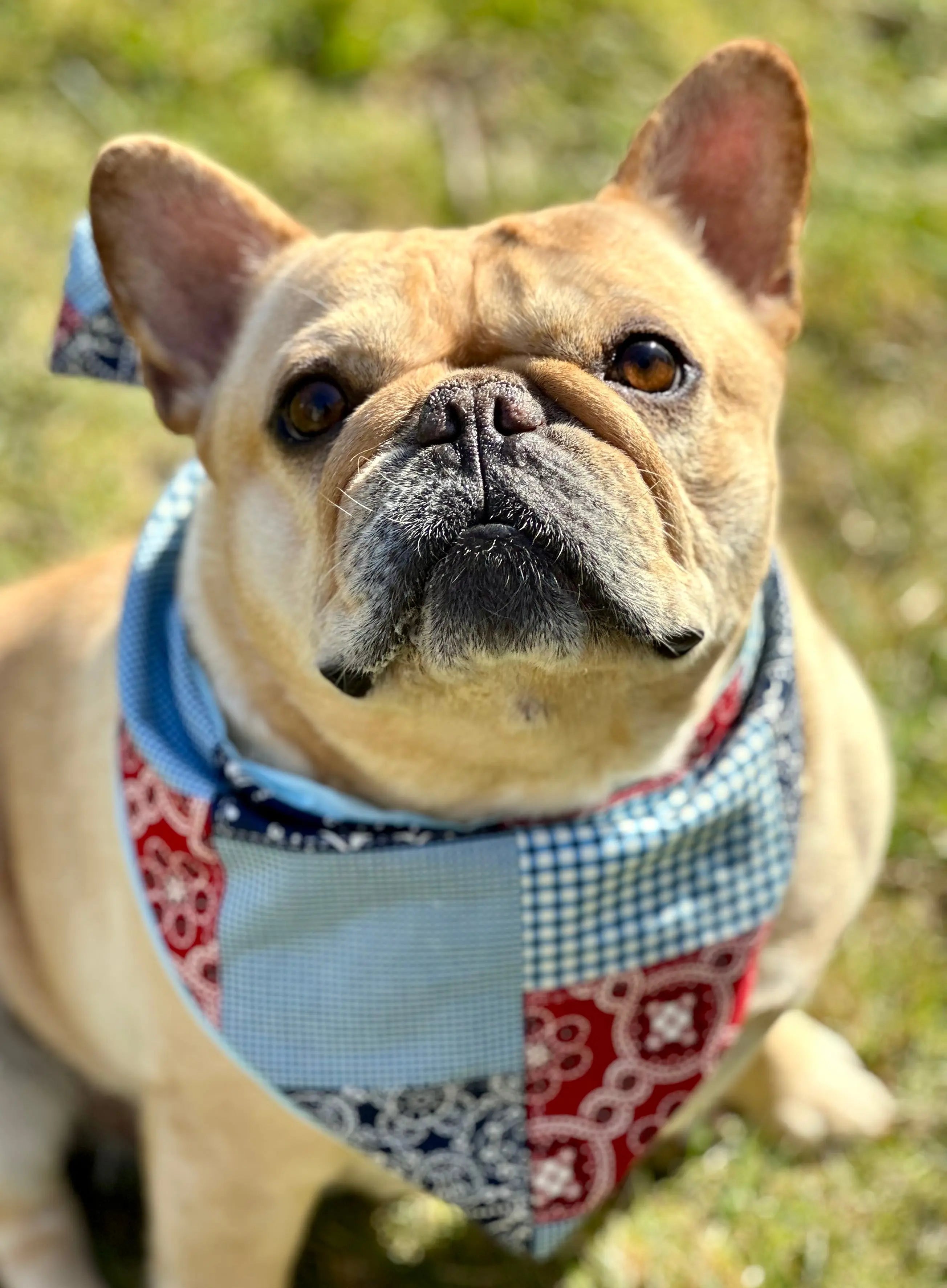 Patchwork Dog Bandana - FurvanaWell