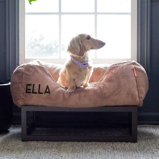 The FÜZI Dog Bed