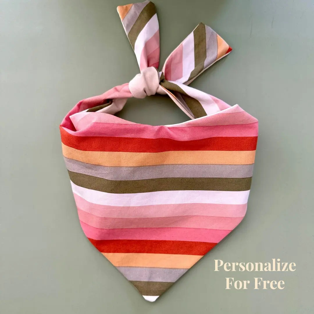 Boho Stripes Dog Bandana - FurvanaWell