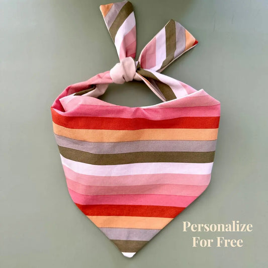 Boho Stripes Dog Bandana - FurvanaWell
