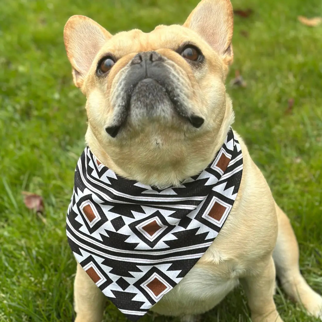 Southwest Dog Bandana - FurvanaWell