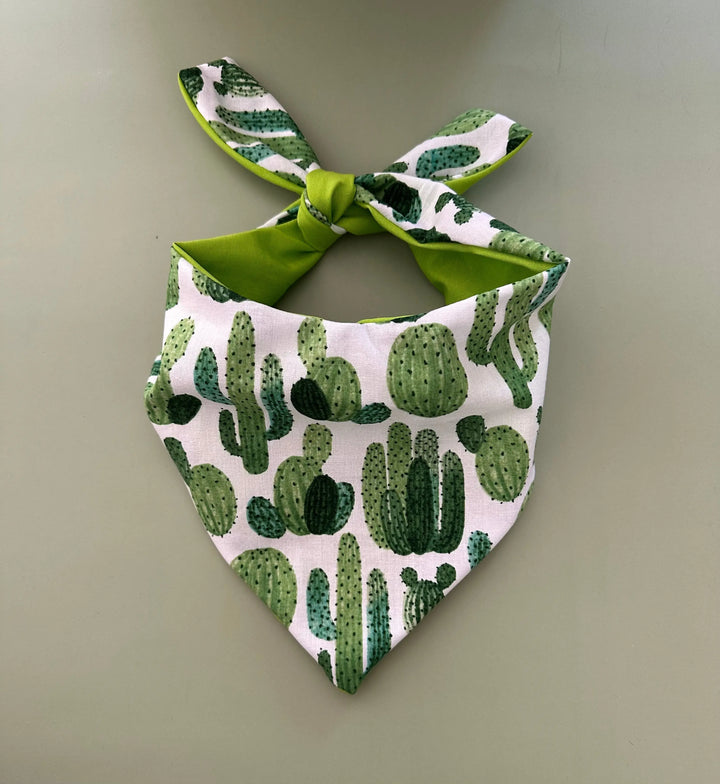 Cactus Dog Bandana - FurvanaWell