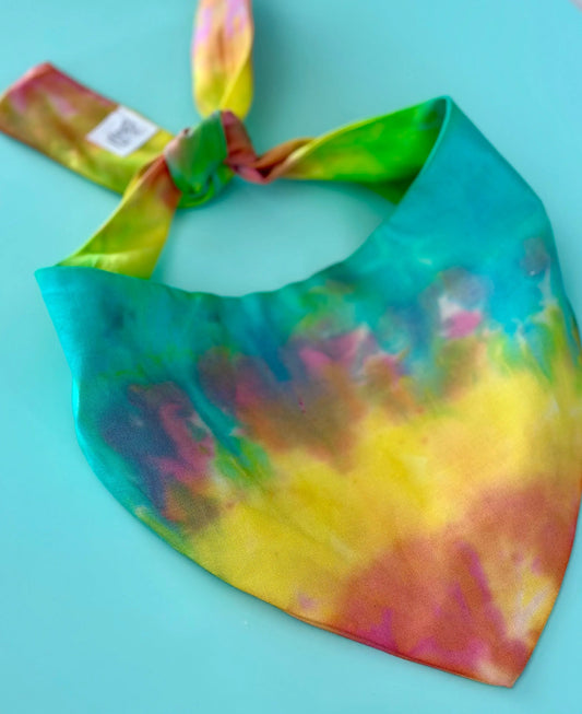 Custom Tie Dye Dog Bandana - FurvanaWell