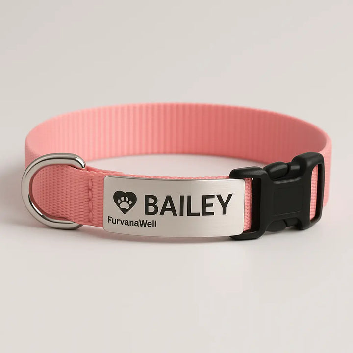 Personalized dog and cat collar with engraved name tag"
"Custom leather pet collar with contact information"
"Adjustable dog and cat collar with personalized nameplate"