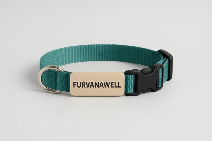 Personalized dog and cat collar with engraved name tag"
"Custom leather pet collar with contact information"
"Adjustable dog and cat collar with personalized nameplate"