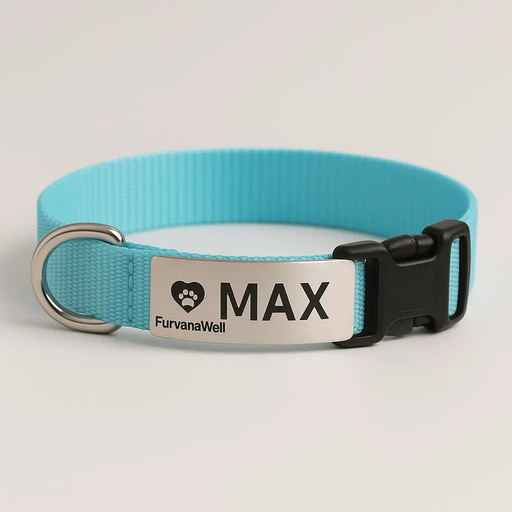 Personalized dog and cat collar with engraved name tag"
"Custom leather pet collar with contact information"
"Adjustable dog and cat collar with personalized nameplate"