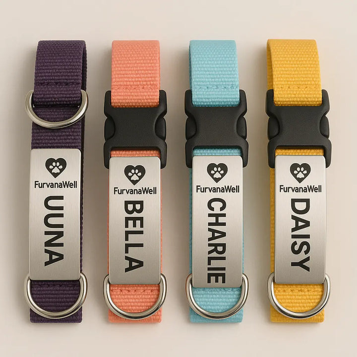 Personalized dog and cat collar with engraved name tag"
"Custom leather pet collar with contact information"
"Adjustable dog and cat collar with personalized nameplate"
