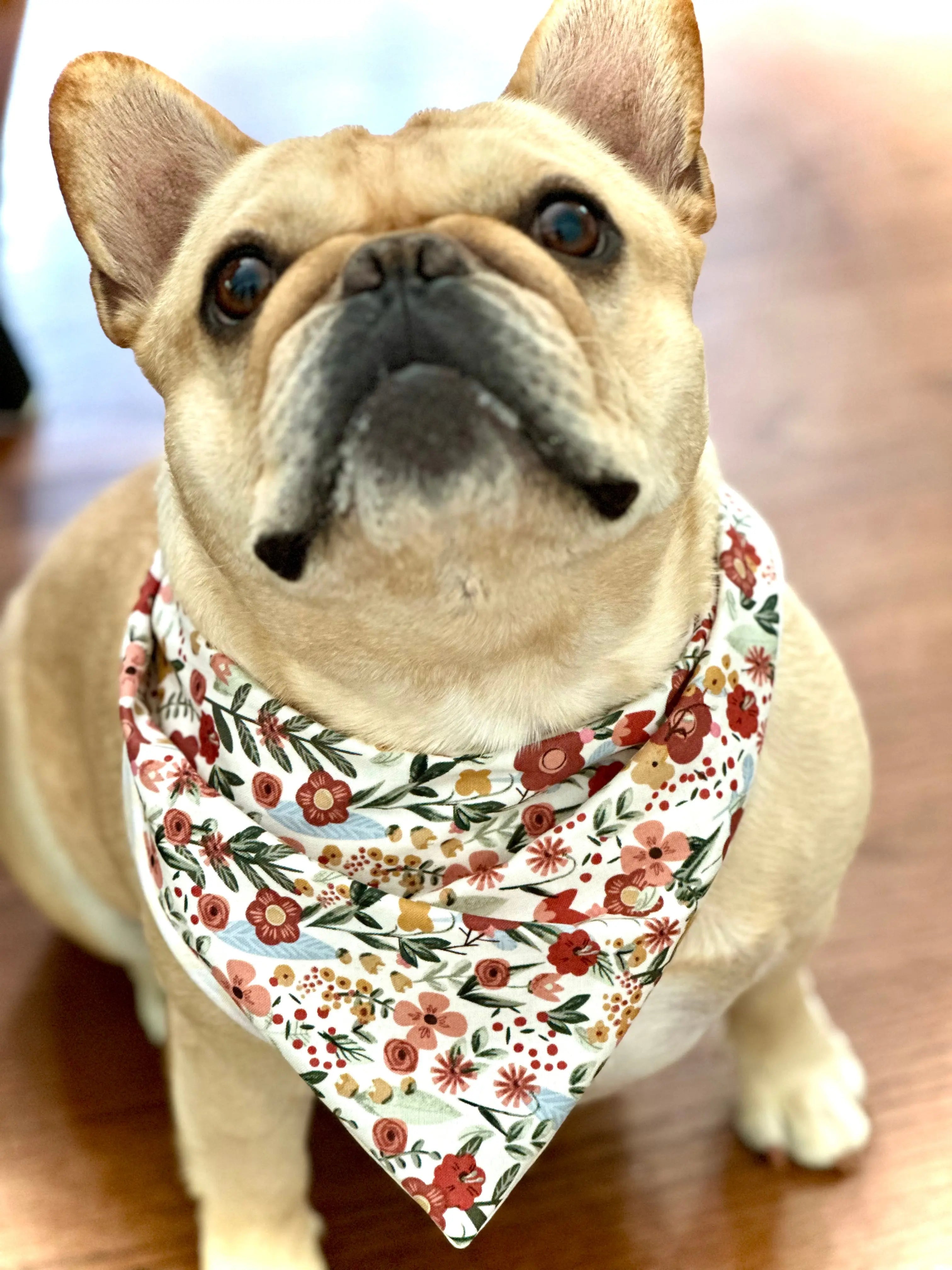 Floral Dog Bandana - FurvanaWell