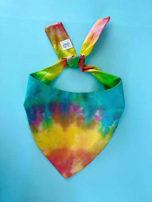 Custom Tie Dye Dog Bandana - FurvanaWell