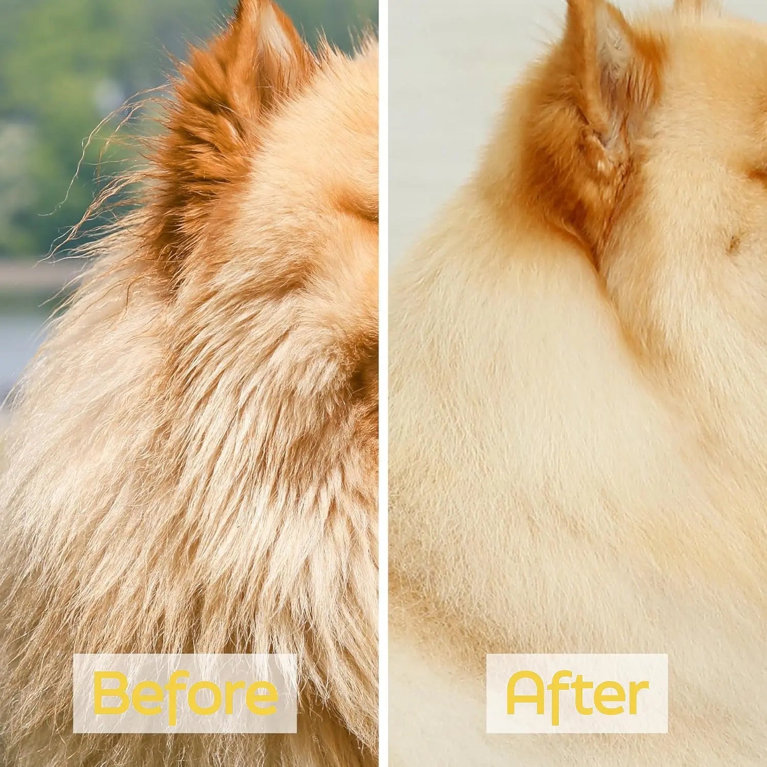 Complete healthy home pet bundle with grooming and care essentials"
"Pet wellness bundle featuring shampoo and grooming accessories"
"Comprehensive pet care bundle for healthy home environment"
"Premium pet grooming bundle with natural shampoo and accessories"
"Healthy pet home starter kit with grooming and wellness products"
"Complete pet care bundle for maintaining healthy pets at home"
"Essential pet wellness bundle with grooming and health products"
