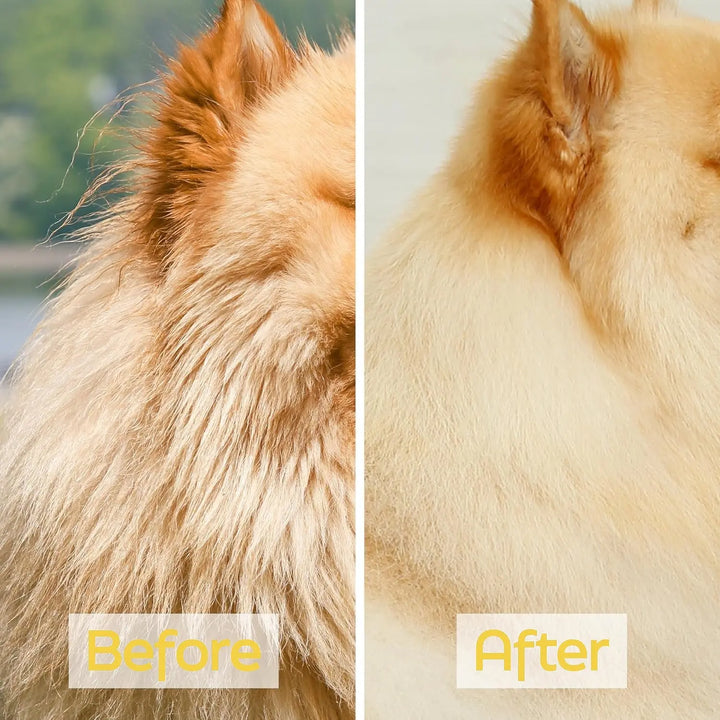 Natural pet shampoo bottle for dogs and cats
Premium pet grooming shampoo with pump dispenser
Gentle pet shampoo for soft, shiny coat