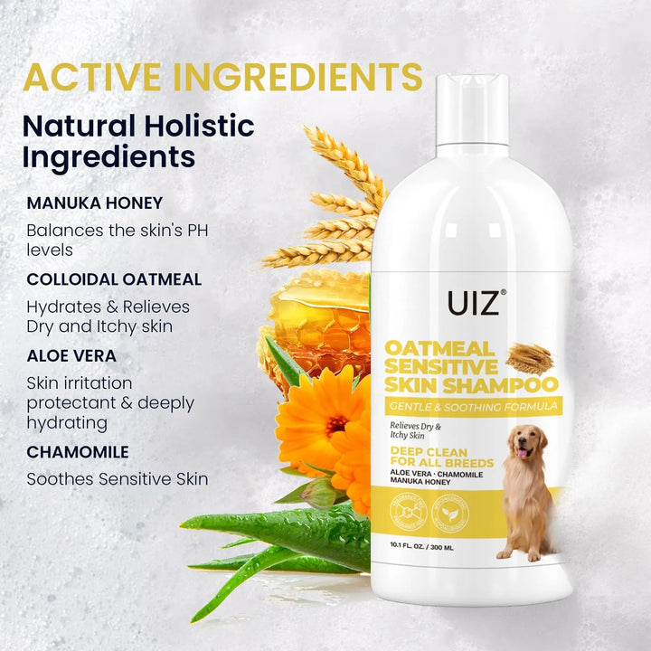 Complete healthy home pet bundle with grooming and care essentials"
"Pet wellness bundle featuring shampoo and grooming accessories"
"Comprehensive pet care bundle for healthy home environment"
"Premium pet grooming bundle with natural shampoo and accessories"
"Healthy pet home starter kit with grooming and wellness products"
"Complete pet care bundle for maintaining healthy pets at home"
"Essential pet wellness bundle with grooming and health products"