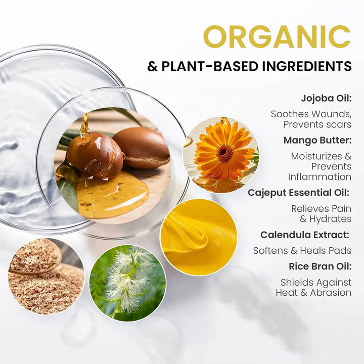 Natural pet shampoo bottle for dogs and cats
Premium pet grooming shampoo with pump dispenser
Gentle pet shampoo for soft, shiny coat