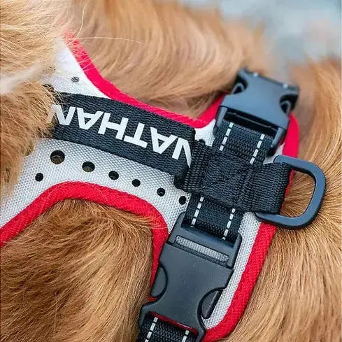 Nathan reflective dog harness - FurvanaWell