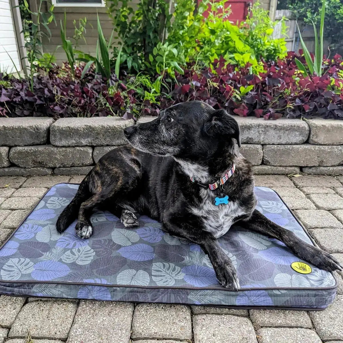 Body Glove Sand & Sun Tough Mat - FurvanaWell