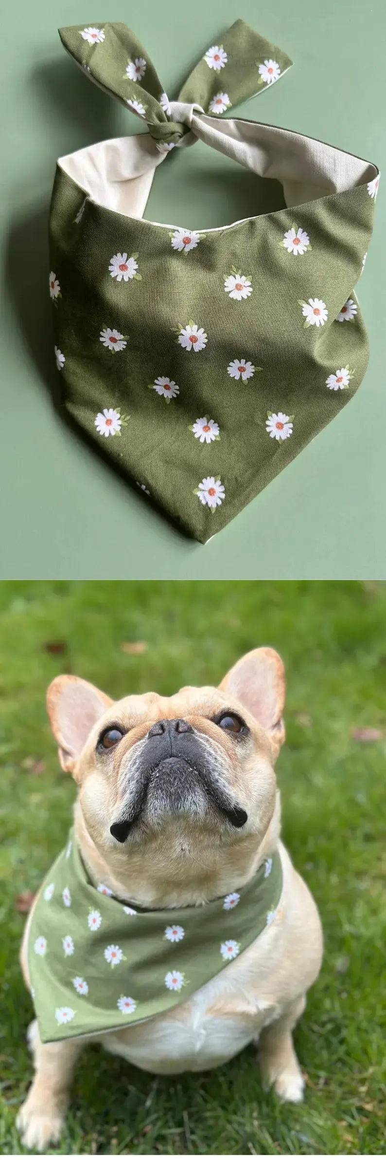 Daisy Dog Bandana - FurvanaWell