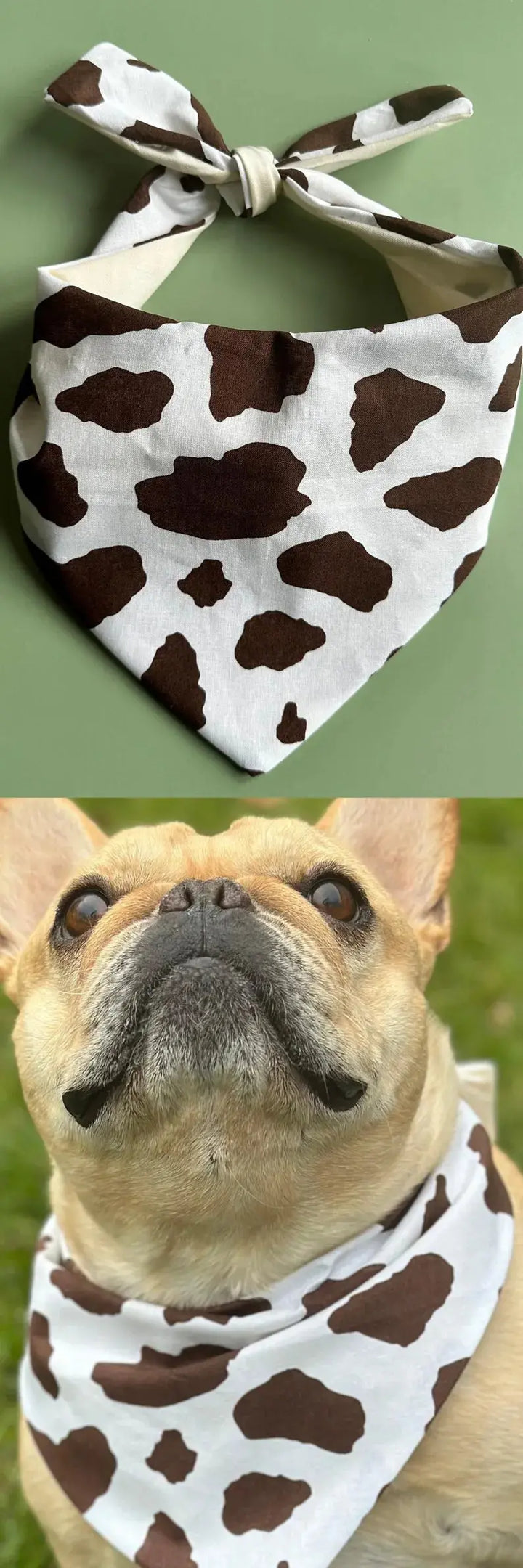 Cow Print Dog Bandana - FurvanaWell