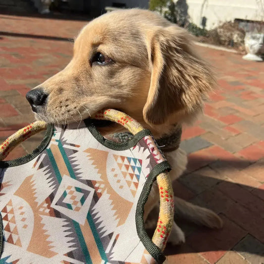 Pendleton Flying Disc Rope Dog Toy - FurvanaWell